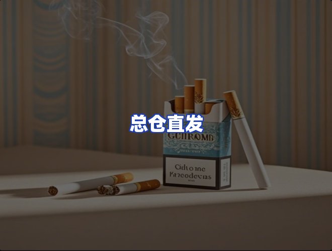 专业团队